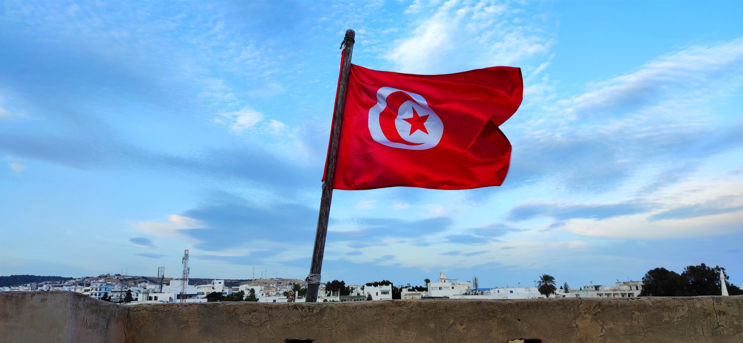 Tunisia: A New Constitution, Presidential Powers and the Future of Arab Spring Achievements
